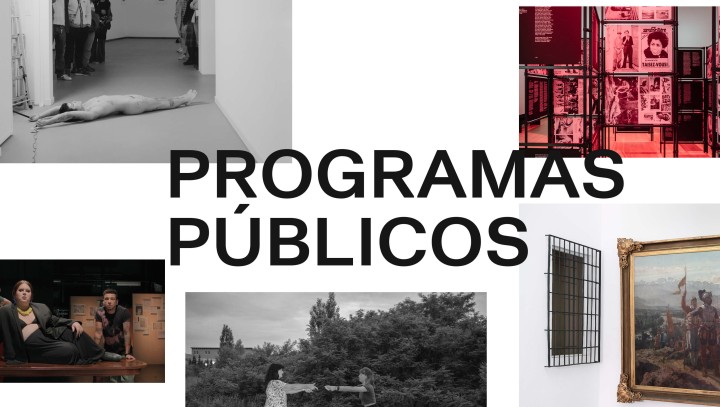 Programas Públicos
