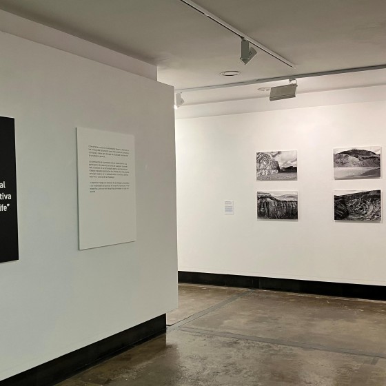 Certamen de Fotografía Informativa y Documental 1.jpg