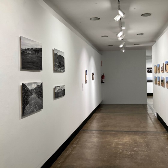 Certamen de Fotografía Informativa y Documental 3.jpg