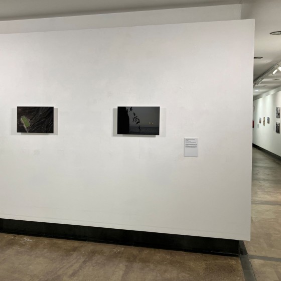 Certamen de Fotografía Informativa y Documental 4.jpg